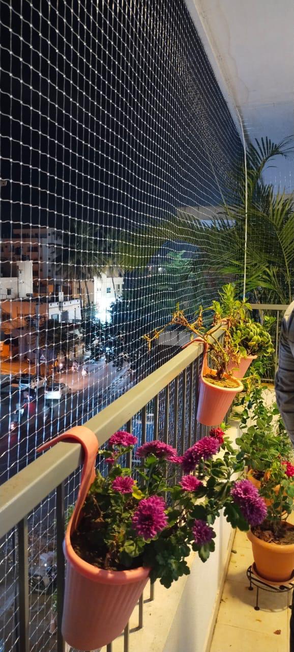 Pigeon Net Terrace in Chennai