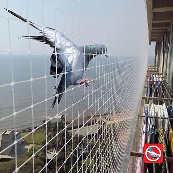 Bird Protection Nets Installation