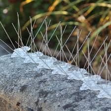 Anti Bird Spikes Installation
